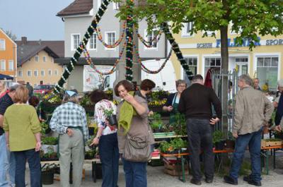 Foto des Albums: Maimarkt 2013