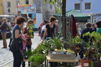 Foto des Albums: Maimarkt 2013