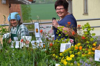 Foto des Albums: Maimarkt 2013