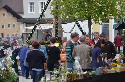 Foto des Albums: Maimarkt 2013