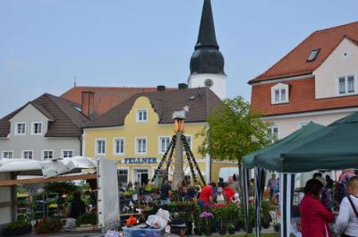 Foto des Albums: Maimarkt 2013