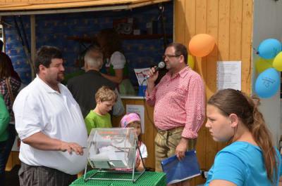 Foto des Albums: Maimarkt 2013