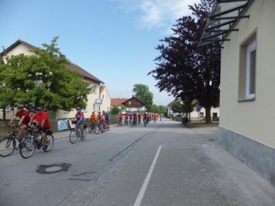 Foto des Albums: Radsternfahrt Massing 2013