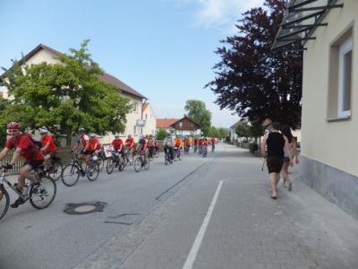 Foto des Albums: Radsternfahrt Massing 2013