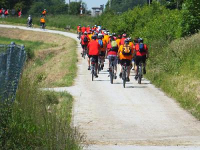 Foto des Albums: Radsternfahrt Massing 2013