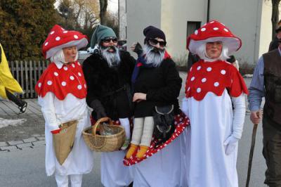 Foto des Albums: Faschingsumzug Simbach 2012