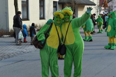 Foto des Albums: Faschingsumzug Simbach 2012