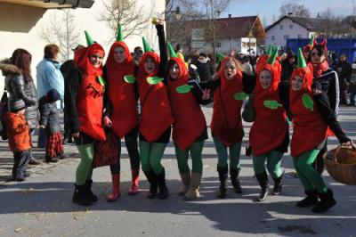 Foto des Albums: Faschingsumzug Simbach 2012