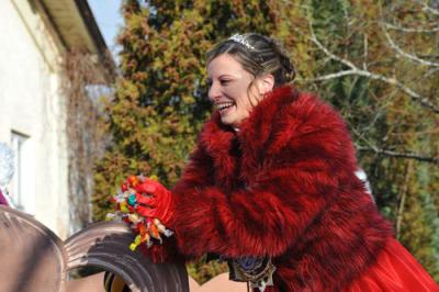 Foto des Albums: Faschingsumzug Simbach 2012