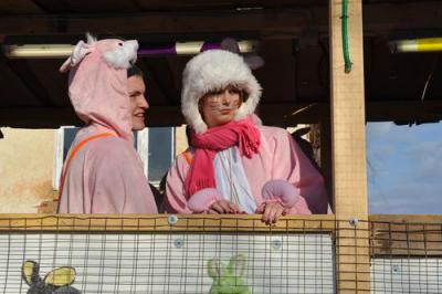 Foto des Albums: Faschingsumzug Simbach 2012