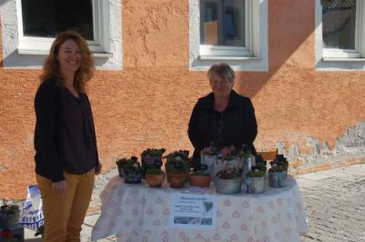 Foto des Albums: Herbstmarkt 2012