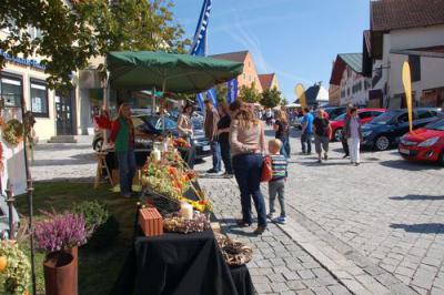 Foto des Albums: Herbstmarkt 2012