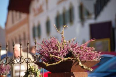 Foto des Albums: Herbstmarkt 2012