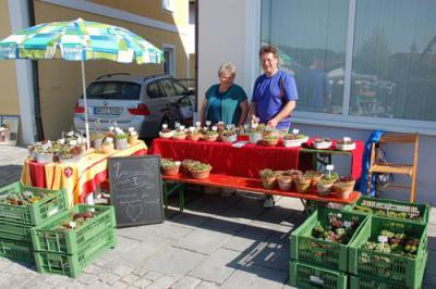 Foto des Albums: Maimarkt 2012