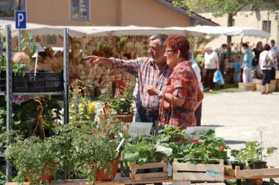 Foto des Albums: Maimarkt 2012