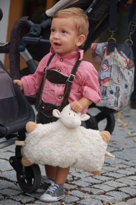 Foto des Albums: Volksfest 2012