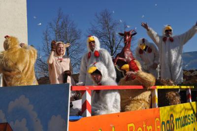 Foto des Albums: Faschingsumzug 2011