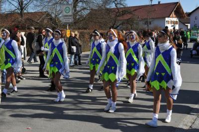 Foto des Albums: Faschingsumzug 2011