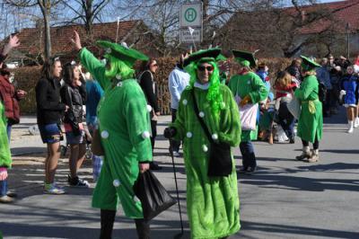 Foto des Albums: Faschingsumzug 2011