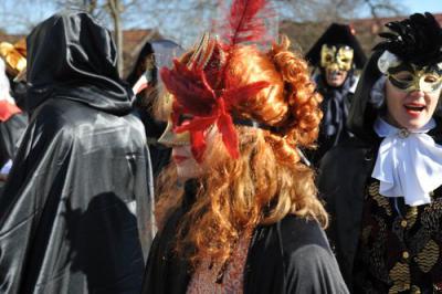 Foto des Albums: Faschingsumzug 2011
