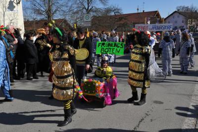 Foto des Albums: Faschingsumzug 2011