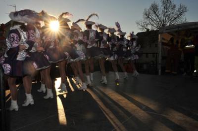 Foto des Albums: Faschingsumzug 2011