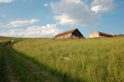 Foto des Albums: Freiwillige Feuerwehr Großübung 2011
