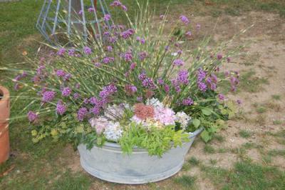 Foto des Albums: Herbstmarkt 2011