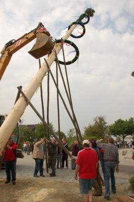 Foto des Albums: Maimarkt 2011