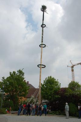 Foto des Albums: Maimarkt 2011