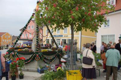 Foto des Albums: Maimarkt 2011