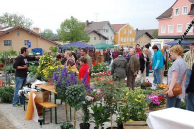 Foto des Albums: Maimarkt 2011