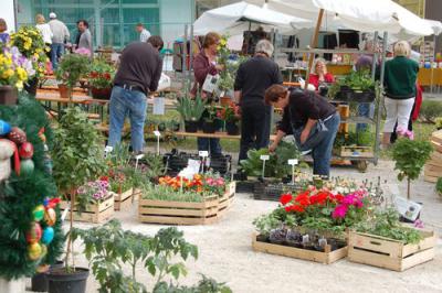 Foto des Albums: Maimarkt 2011