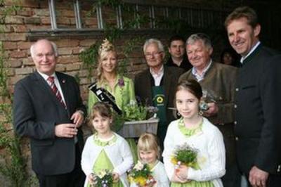 Foto des Albums: Maimarkt 2011