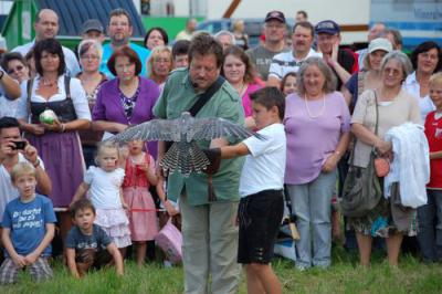 Foto des Albums: Volksfest 2011
