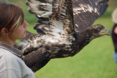 Foto des Albums: Volksfest 2011