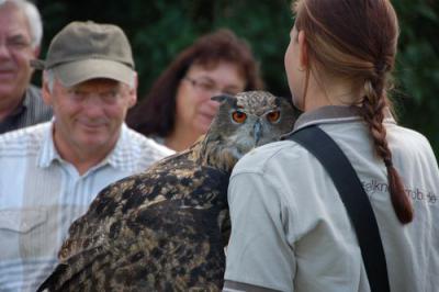 Foto des Albums: Volksfest 2011