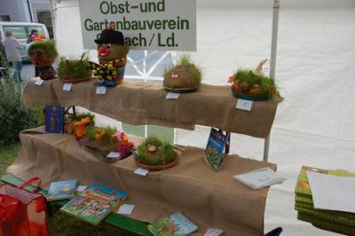 Foto des Albums: Herbstmarkt 2010