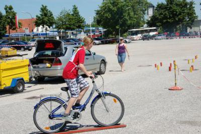 Foto des Albums: Radsternfahrt Landau 2010
