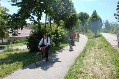 Foto des Albums: Radsternfahrt Landau 2010