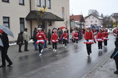 Foto des Albums: Faschingsumzug Simbach 2009