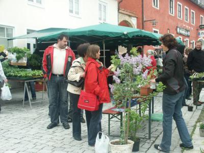 Foto des Albums: Maimarkt 2009