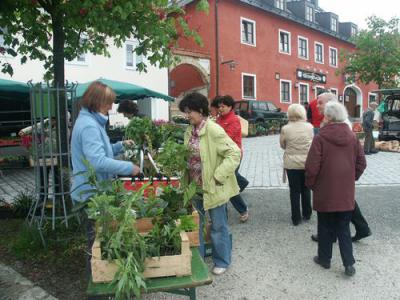 Foto des Albums: Maimarkt 2009
