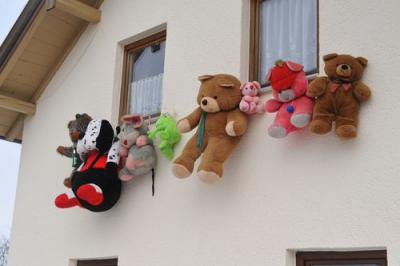 Foto des Albums: Rosenmontag 2010