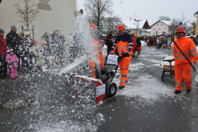Foto des Albums: Rosenmontag 2010