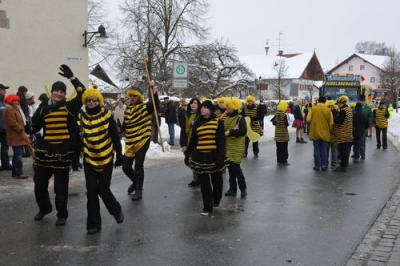 Foto des Albums: Rosenmontag 2010