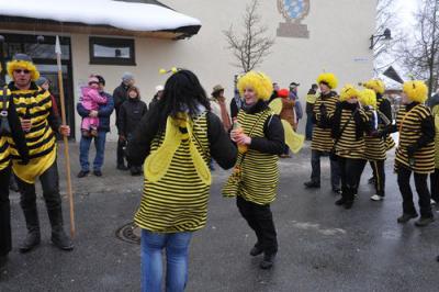 Foto des Albums: Rosenmontag 2010