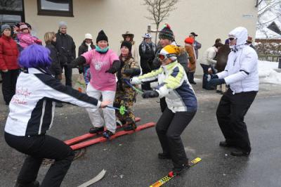 Foto des Albums: Rosenmontag 2010