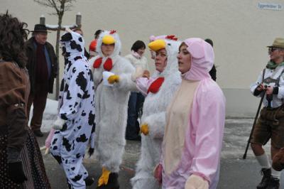 Foto des Albums: Rosenmontag 2010