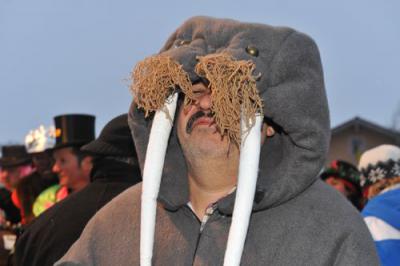 Foto des Albums: Rosenmontag 2010